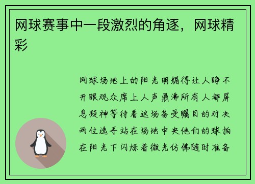 网球赛事中一段激烈的角逐，网球精彩